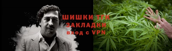 мдпв Осташков