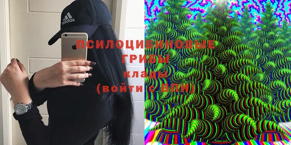 мдпв Осташков