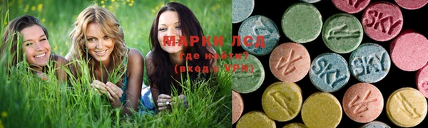 ПСИЛОЦИБИНОВЫЕ ГРИБЫ Осинники