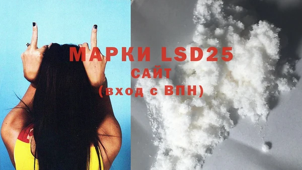 ПСИЛОЦИБИНОВЫЕ ГРИБЫ Осинники