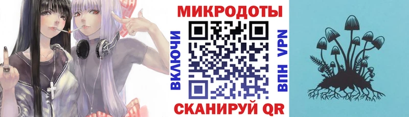 Псилоцибиновые грибы Psilocybine cubensis  Белоярский 